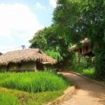 Mountain Day Trip to Experience Muong Culture from Hanoi - The Balance of Pros and Cons