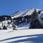 Mountain pasture Kok Zhailau The most popular trekking in Almaty - Detailed Breakdown of the Itinerary