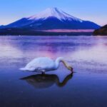 Mt. Fuji 6 Iconic Photo Spots Day Tour from Tokyo - Practical Aspects and Value