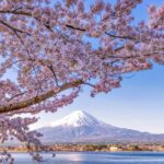 Mt.Fuji 6 Must-See Spots: Oshino& Lake Kawaguchi From Tokyo - Itinerary Breakdown