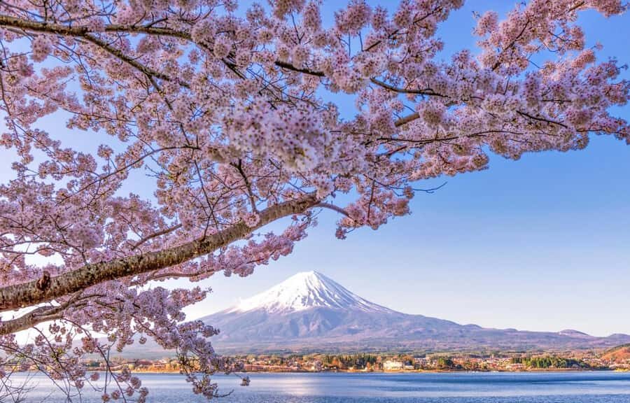 Mt.Fuji 6 Must-See Spots: Oshino& Lake Kawaguchi From Tokyo - Itinerary Breakdown