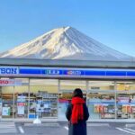 Mt. Fuji 6 Scenic Day Tour: Kawaguchiko & Lake Yamanaka - Practical Details and Logistics