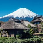 Mt Fuji and Hakone Day Trip from Tokyo with Ropeway Experience - An In-Depth Look at the Tour Experience