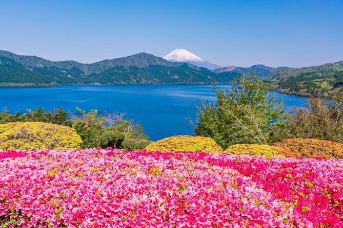 Mt Fuji and Hakone One Day Tour departure from Tokyo with lunch - Who Is This Tour Best For?