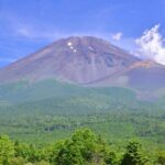 Mt. Fuji and Hakone Private Day Tour by Bullet Train and Car - Transportation and Logistics: Why They Matter