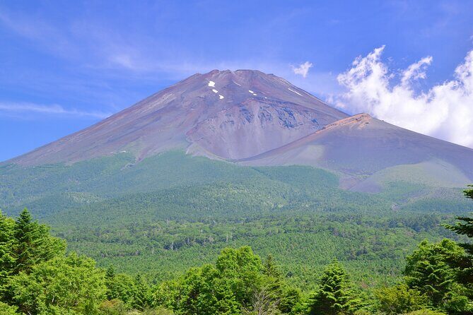 Mt. Fuji and Hakone Private Day Tour by Bullet Train and Car - Transportation and Logistics: Why They Matter