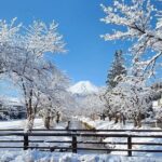 Mt. Fuji and Hakone Private Tour with English Speaking Driver - The Practicalities