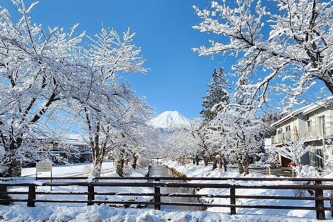 Mt. Fuji and Hakone Private Tour with English Speaking Driver - The Practicalities