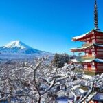 Mt Fuji and Lake Kawaguchi 1-Day Luxury Bus Tour From Tokyo - Who Is This Tour Best Suited For?