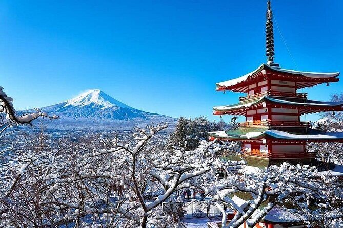 Mt Fuji and Lake Kawaguchi 1-Day Luxury Bus Tour From Tokyo - Who Is This Tour Best Suited For?