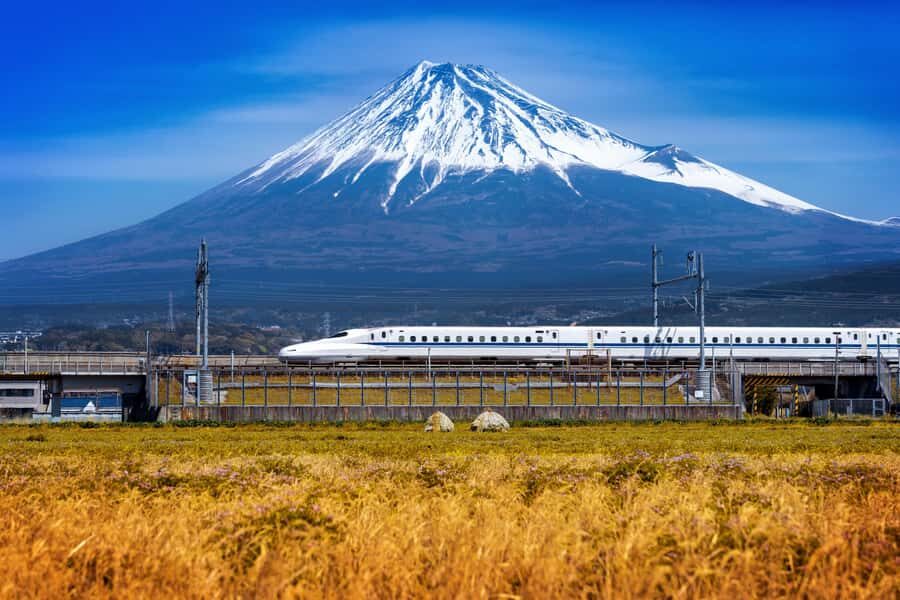 Mt Fuji and Lake Kawaguchi Day Tour With English Driver - What Makes This Tour Stand Out