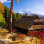Mt. Fuji Autumn leaves And Heritage Village Trip Tokyo - FAQs