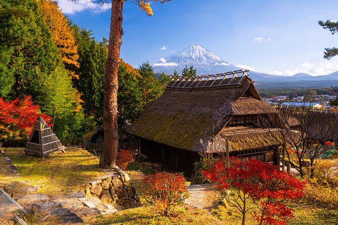 Mt. Fuji Autumn leaves And Heritage Village Trip Tokyo - FAQs