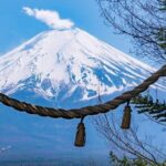 Mt Fuji Day Tour: Chureito Pagoda, Lake Kawaguchi & Oshino Hakkai - Transportation and Schedule