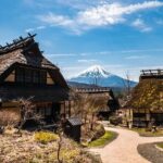 Mt Fuji Full Day Private Tour from Tokyo with English Driver - What’s the Value?