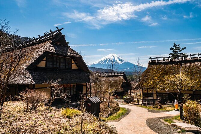 Mt Fuji Full Day Private Tour from Tokyo with English Driver - What’s the Value?