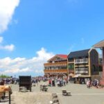 Mt. Fuji & Hakone Day Tour from Tokyo with Indian Lunch - Authentic Experiences and Hidden Gems