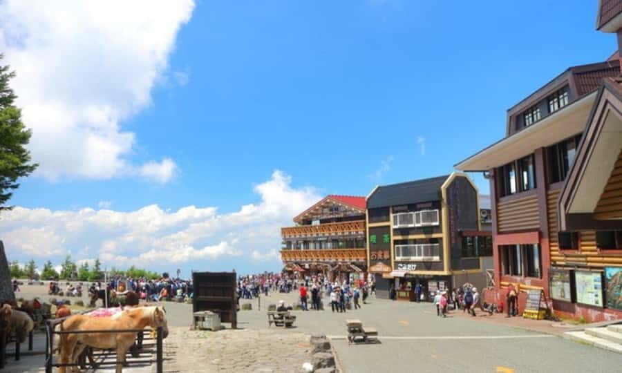 Mt. Fuji & Hakone Day Tour from Tokyo with Indian Lunch - Authentic Experiences and Hidden Gems