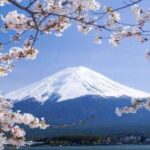 Mt. Fuji & Hakone Day Trip with English-Speaking Driver - The Full Breakdown: An In-Depth Look at the Tour