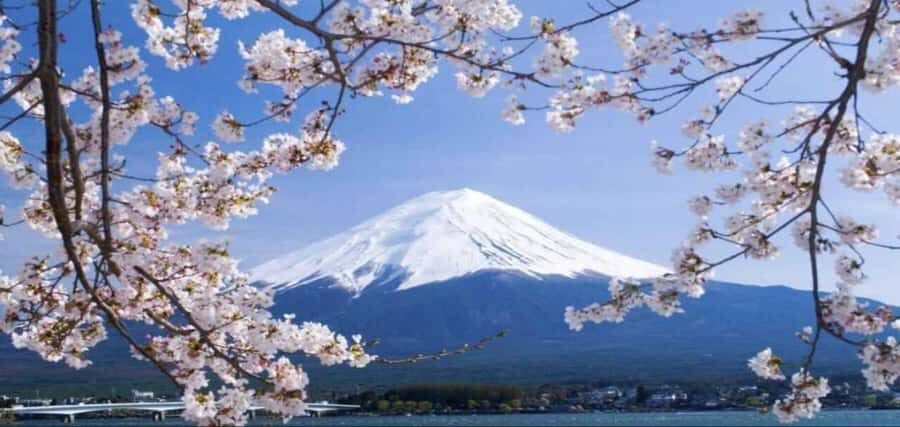 Mt. Fuji & Hakone Day Trip with English-Speaking Driver - The Full Breakdown: An In-Depth Look at the Tour