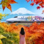 Mt. Fuji, Hakone & Kawaguchiko Scenic Day Tour from Tokyo - The Value of This Tour