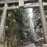 Mt Fuji Hidden Gems with Local Expert Guide - An In-Depth Look at the Tour Experience