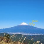 Mt. Fuji Hiking from Shimizu Port - An In-Depth Look at the Mt. Fuji Hiking Experience