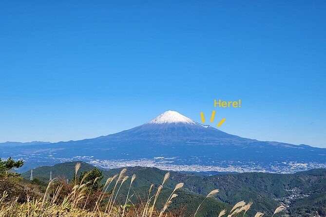 Mt. Fuji Hiking from Shimizu Port - An In-Depth Look at the Mt. Fuji Hiking Experience