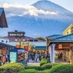 Mt. Fuji in Comfort: Private Ride Premium Service - Who Should Consider This Tour?