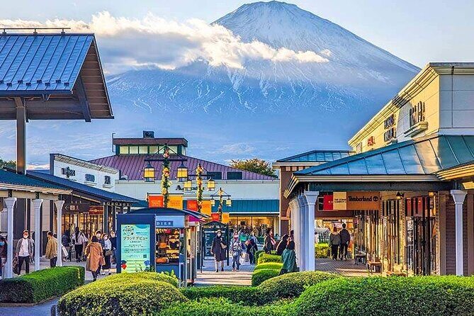 Mt. Fuji in Comfort: Private Ride Premium Service - Who Should Consider This Tour?