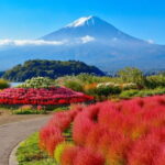 Mt Fuji /Kawaguchi customize private charter car - The Sum Up