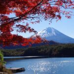 Mt.Fuji, Oshino Hakkai, Gotemba Outlet 1 Day Tour from Tokyo - Practical Details and Tips