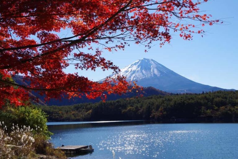 Mt.Fuji, Oshino Hakkai, Gotemba Outlet 1 Day Tour from Tokyo - Practical Details and Tips