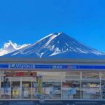 Mt. Fuji Panoramic Ropeway, Oshino Hakkai & Sightseeing Day Tour - Practical Details and What to Expect