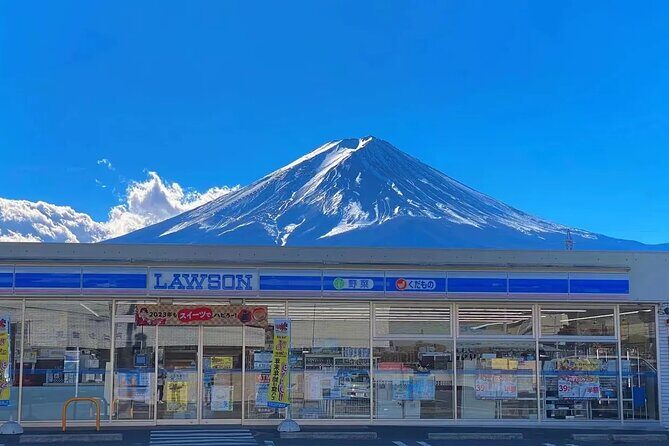 Mt. Fuji Panoramic Ropeway, Oshino Hakkai & Sightseeing Day Tour - Practical Details and What to Expect