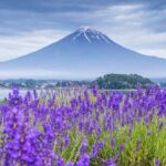 Mt Fuji Pilgrimage Full Day Tour with 7 Must See Scenic Spots - Authentic Experiences and Practical Insights