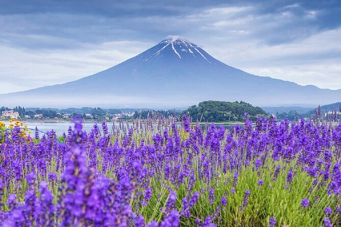 Mt Fuji Pilgrimage Full Day Tour with 7 Must See Scenic Spots - Authentic Experiences and Practical Insights