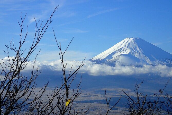Mt. Fuji Private Customized Day Tour - What the Itinerary Looks Like