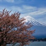 MT Fuji Private Day Tour in Luxury Car - Why This Tour Offers Great Value
