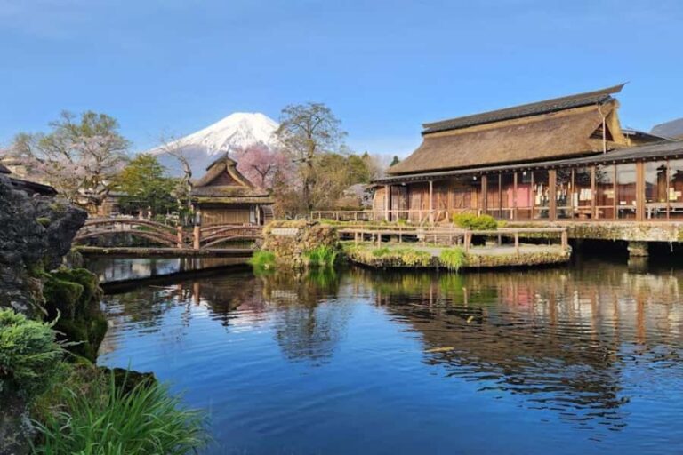 Mt. Fuji Private Day Tour: Luxury Car, Pagoda & Hidden Gems - Why This Tour Works for Different Travelers