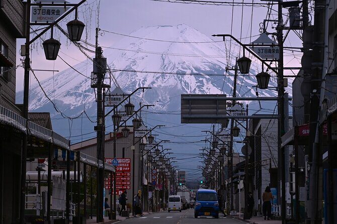 Mt.Fuji Private Day Trip from Tokyo with Driver & Top Photo Spots - Final Thoughts