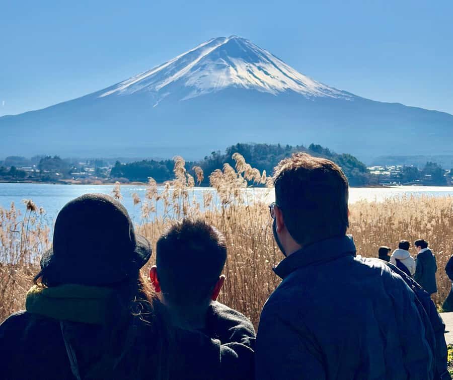 Mt. Fuji Private Tour: 8-Hour Bespoke Day from Your Hotel - Why Choose This Tour?