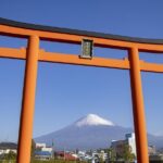 Mt. Fuji Sake and Tea Fields Tour by Private Car - What Makes This Tour Stand Out?