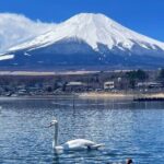 Mt. Fuji Scenic Lakes and Oshino Hakkai Private Tour - Final Thoughts