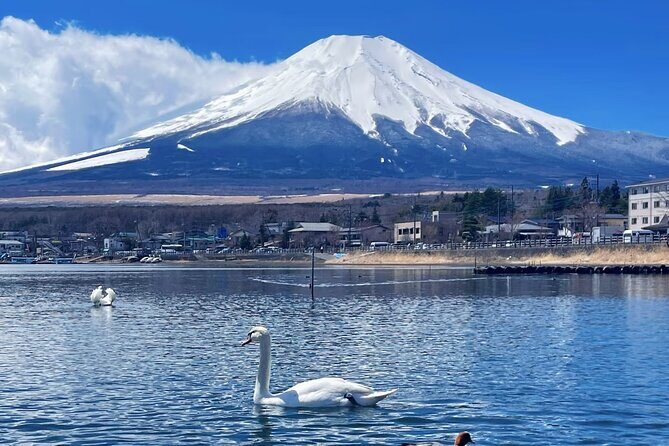 Mt. Fuji Scenic Lakes and Oshino Hakkai Private Tour - Final Thoughts