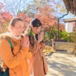 Mt.Fuji Small-Group Tour with Tea Farm,Strawberry Picking&Shrine - FAQ