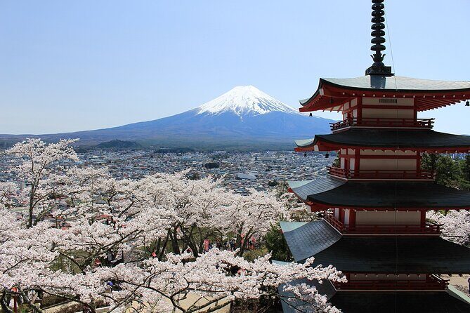 Mt. Fuji Spanish & English tour - Practical Details and What You’ll Get