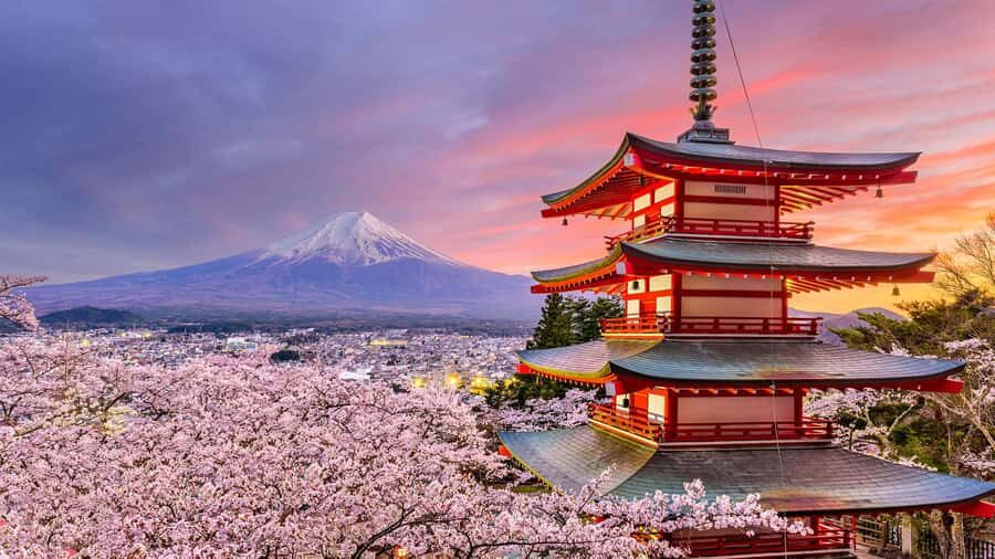 Mt. Fuji Top Spots Tour: Chureito Pagoda,Lake Views And More - Exploring the Itinerary in Detail