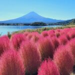 Mt Fuji Tour from Shimizu Port by Private Car - What’s Included and What to Keep in Mind