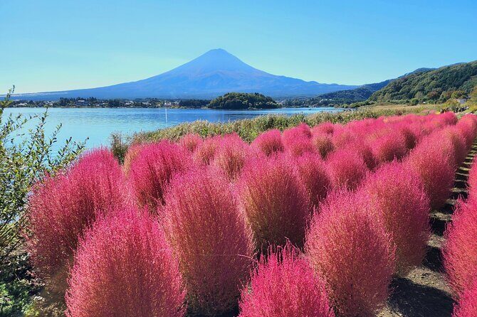 Mt Fuji Tour from Shimizu Port by Private Car - What’s Included and What to Keep in Mind